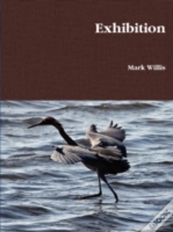 Capa do artigo Exhibition