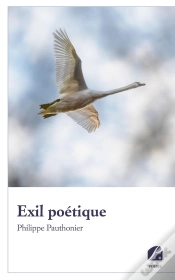 Capa do artigo Exil Poétique