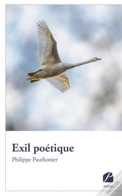 Capa do artigo Exil Poétique