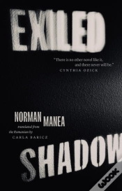 Capa do artigo Exiled Shadow