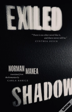 Capa do artigo Exiled Shadow