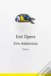 Capa do artigo Exit Opera