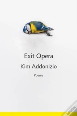 Capa do artigo Exit Opera