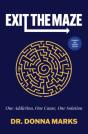 Exit The Maze - Preview