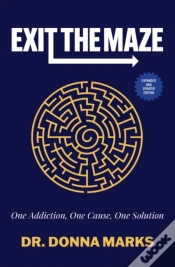 Capa do artigo Exit The Maze