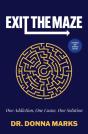 Exit The Maze - Preview