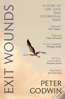 Capa do artigo Exit Wounds