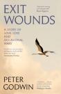 Exit Wounds - Preview
