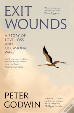 Capa do artigo Exit Wounds