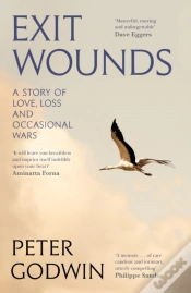Capa do artigo Exit Wounds