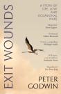 Exit Wounds - Preview