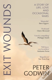 Capa do artigo Exit Wounds