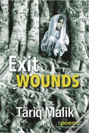 Capa do artigo Exit Wounds