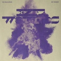 Capa do artigo Exit Wounds - Vinil