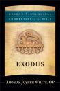 Exodus (Brazos Theological Commentary On The Bible) - Preview