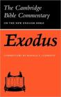 Exodus - Preview