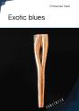 Exotic Blues - Preview