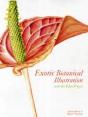 Exotic Botanical Illustration - Preview