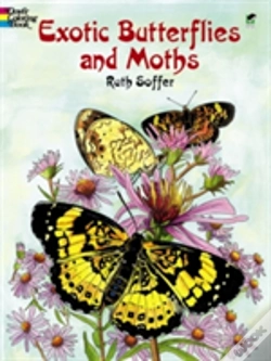Capa do artigo Exotic Butterflies And Moths Cb