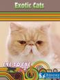 Exotic Cats - Preview