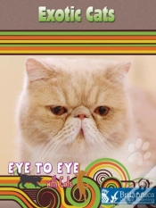 Capa do artigo Exotic Cats