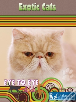 Capa do artigo Exotic Cats