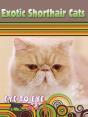 Exotic Cats - Preview