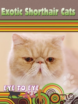 Capa do artigo Exotic Cats