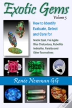 Capa do artigo Exotic Gems