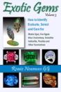 Exotic Gems - Preview