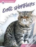 Exotic Shorthairs