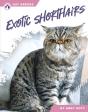 Exotic Shorthairs - Preview