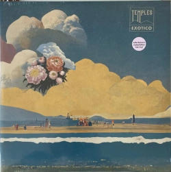 Capa do artigo Exotico - Vinil