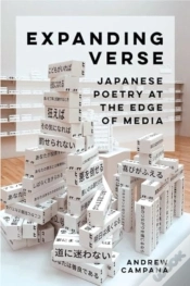 Capa do artigo Expanding Verse