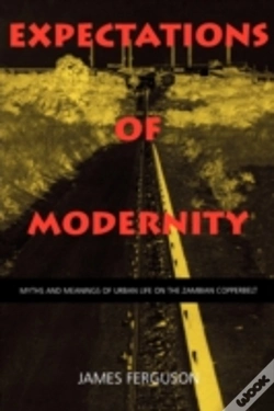 Capa do artigo Expectations Of Modernity