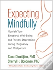 Capa do artigo Expecting Mindfully