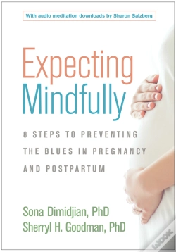 Capa do artigo Expecting Mindfully