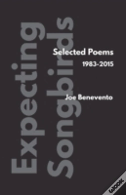 Capa do artigo Expecting Songbirds