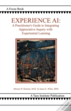 Capa do artigo Experience Ai