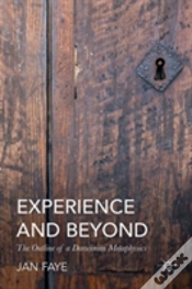 Capa do artigo Experience And Beyond