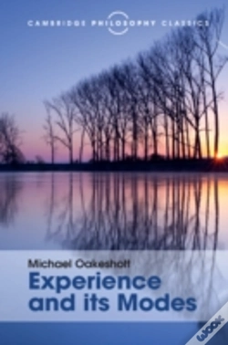 Capa do artigo Experience And Its Modes