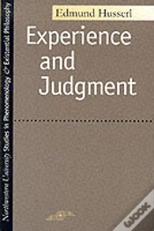 Capa do artigo Experience And Judgment