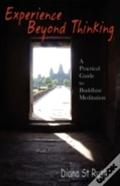 Capa do artigo Experience Beyond Thinking