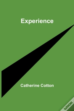 Capa do artigo Experience