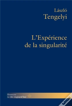 Capa do artigo Experience De La Singularite (L')