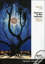 Capa do artigo Experience De Mort Imminente - L
