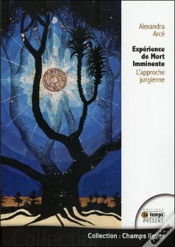 Capa do artigo Experience De Mort Imminente - L'Approche Jungienne