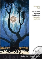 Experience De Mort Imminente - L'Approche Jungienne