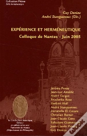 Expérience Et Herméneutique ; Colloque De Nantes, Juin 2005