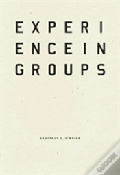Capa do artigo Experience In Groups